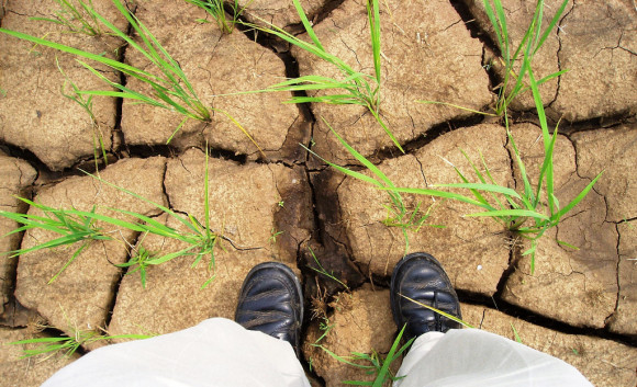 drought-IRRI-Images-flickr