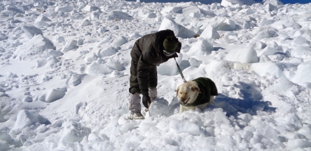 8fev2016-foto-divulgada-pelo-ministerio-da-defesa-da-india-mostra-soldado-do-exercito-e-cao-em-busca-por-sobreviventes-de-avalanche-no-glaciar-siachen