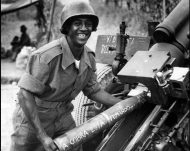 Dia da Vitória e Medalha da Vitória – 80 anos