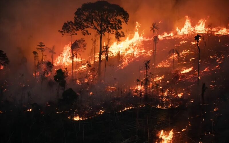 Brasil queimadas