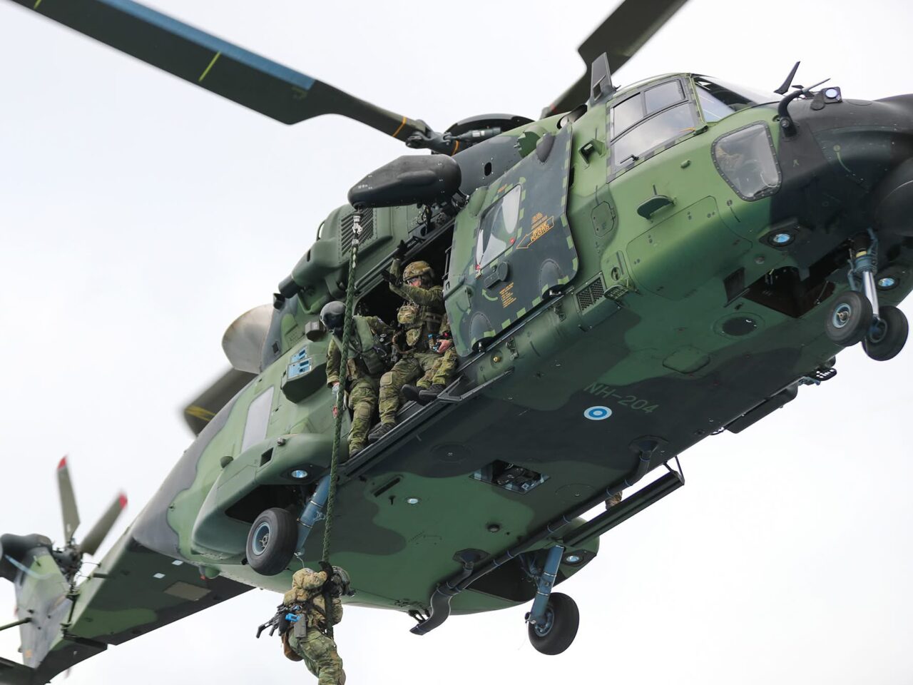 Southern Griffin 25
